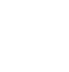 icon8